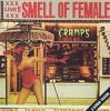 Smell of Female Photo