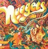 Nuggets Photo