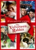 Velveteen Rabbit Photo