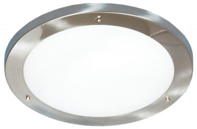 Photo of Bright Star Lighting - Silver Ceiling Fitting - Silver