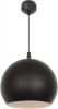 Bright Star Lighting - Pennant - Black Photo