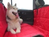 Kunduchi - Red Car Seat Cover - Hammock Photo
