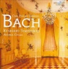 Andrea Chezzi - Bach: Keyboard Symphonies Photo