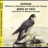 Sounds Of Nature - Birds Of Prey And Owls Of Western Eur Photo