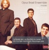 Opus Brasil Ensemble - Photo