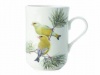 Maxwell Williams Maxwell & Williams - Birds Of The World Mug - Finches Photo