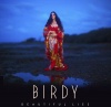 Birdy - Beautiful Lies Photo