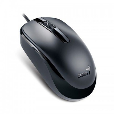 Photo of Genius DX120 Black Mouse
