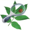 Edu-Science Magnifier Photo
