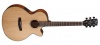 Cort SFX-E NS Photo