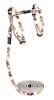 Rogz - 11mm GlowCat Cat Lead/H-Harness - Gecko Photo