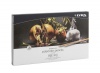 Lyra Rembrandt Polycolor 72 Piece Premium Artists Pencils Photo