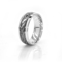 Xcalibur Stainless Steel Gents Ring with Black Plated Insert TXR006
