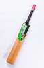 Shosholoza Kashmir Willow Cricket Bat Photo
