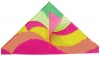 Allwin Delta Kite Single Line - 133cm x 74cm Photo