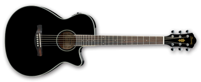 Photo of Ibanez AEG8E BK Acoustic Guitar