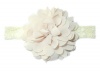 Chiffon Headband Thin Lace - Tan Photo