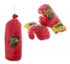 Bulk Pack 5x Boxing-Set Gloves Bag Photo