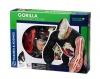 Nature Discovery - Animal Anatomy - Gorilla Photo
