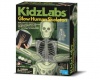 4M Kidz Labs Human Skeleton Photo
