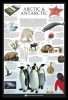 The Arctic - Wall Chart Poster with Black Frame Photo