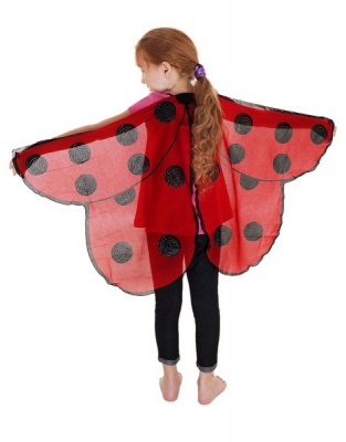 Photo of Dreamy Dress Up Dreamy Dress Ups Wings - Ladybird