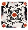 Red Hot Chili Peppers - Blood Sugar Sex Magic Photo