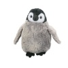 Douglas Cuddles Penguin Chick Photo