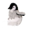 Douglas Pip Penguin Chick In Shell Photo