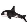 Douglas Spout Orca Whale Photo