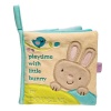 Douglas Bunny Activity Book Photo