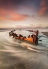 Sunbeam workART Curated Photographic Canvas - by Marek Biegals Photo