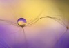 workART Curated Photographic Canvas - In Arms by Heidi Westum Photo