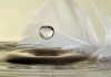 workART Curated Photographic Canvas - Feathers Drop by Heidi Westum Photo