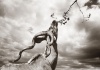 workART Curated Photographic Canvas - Kudu Eating by Rodger Williams Photo
