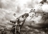 workART Curated Photographic Canvas - Giraffe at Full Stretch by Rodger Williams Photo