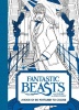 Fantastic Beasts and Where to Find Them: A Book of 20 Postcards to Colour Photo