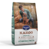 Montego - Karoo Puppy - Large Breed Photo