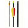 30" Fibre-Glass Fixed Nock Practice Bow Arrows - 6 Piece Photo