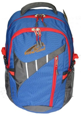 Photo of Powerland Unisex Laptop Backpack