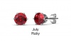 Destiny Birthstone July/Ruby Earrings with Swarovski Crystals in a Macaroon Case Photo