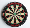 Datadart Tournament Bristle Dartboards - Round Wire Photo