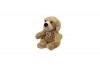 Trudi Bussi Best Dog Plush Photo