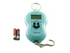 Portable Electronic Scale Photo