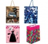 Bulk Pack 15 X Medium Everyday Gift Bag 23cm x 18cm Photo