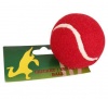 Bulk Pack 15 X Tennis Ball / Cricket In Pocket - Red Photo