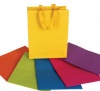 Bulk Pack 10 X Medium Solid Colour Gift Bag 23x18cm - Assorted Photo