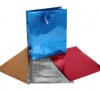 Bulk Pack 10 x Large Hologram Gift Bags - Assorted Photo