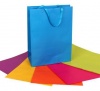 Bulk Pack 6 x Solid Colour Gift Bag 45 x 33cm - Assorted Photo