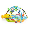 Baby Einstein - Rhythm Of The Reef Play Gym Photo